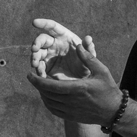 Les mains qui communient le Chi / repousser le singe